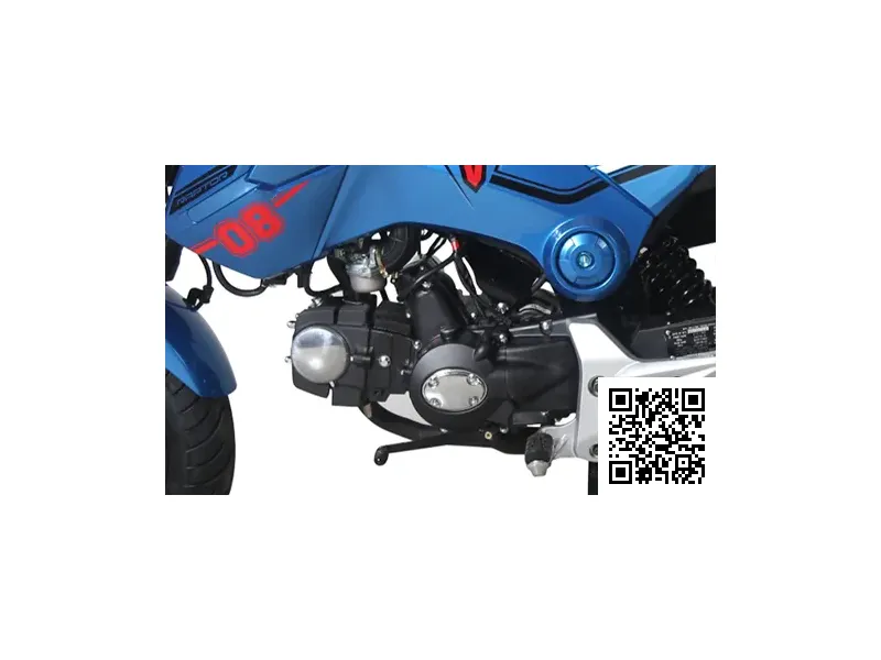 Tao Motor Hellcat 125 2021 45181